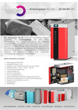 Holzvergaser BioTec L