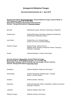 PDF-Datei - Amtsgericht Waldshut