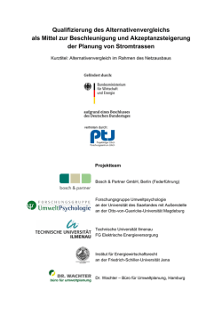Alternativenvergleich im Rahmen des Netzausbaus