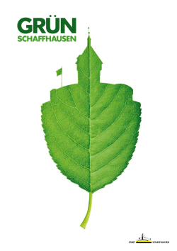 Info Flyer Gr&uuml;n Schaffhausen