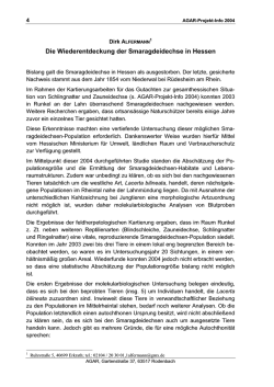 Die Wiederentdeckung der Smaragdeidechse in Hessen