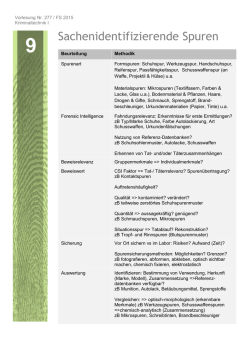 Sachenidentifizierende Spuren