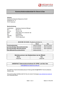 2015-04-21 Kontaktdatenblatt Strom & Gas