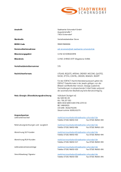 Kommunikationsdatenblatt Strom Netz