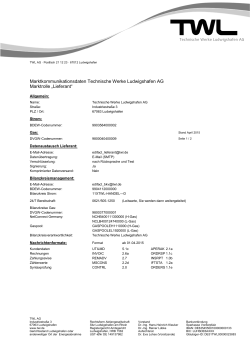 2015-04-01 Kommunikationsdatenblatt Strom & Erdgas