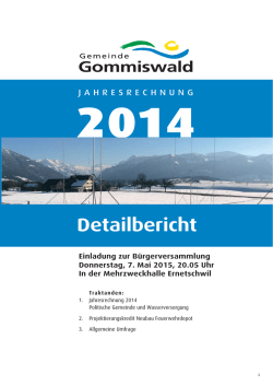 Jahresrechnung 2014 - Detailbericht.indd