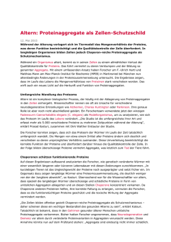 Altern: Proteinaggregate als Zellen