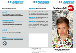 Schimmelsanierung (PDF 697 kB)