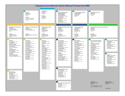 Organigramm