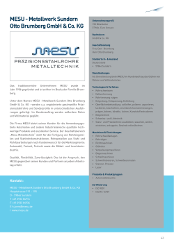 MESU - Metallwerk Sundern Otto Brumberg GmbH & Co. KG