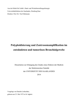 Dokument 1 - SciDok - Universit&auml;t des Saarlandes