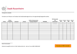 Intergrierte Leitstelle Formular zum Erfassen von Eins&auml;tzen bei