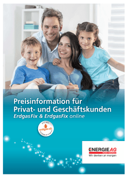 Preisinformation ErdgasFix, ErdgasFix online, ab