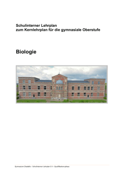 Entwurf - Gymnasium Zitadelle Jülich