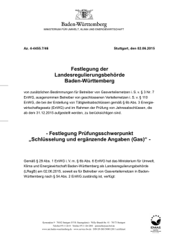 Festlegung Pr&uuml;fungsschwerpunkt