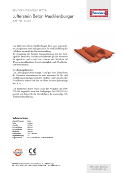202 Produktdatenblatt Lüfterstein Beton Mecklenburger