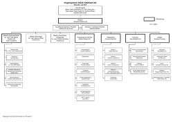 Organigramm Klinik Adelheid AG