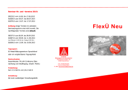 Flyer (PDF 843 KB) - IG Metall