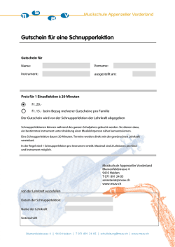 Gutschein f&uuml;r eine Schnupperlektion