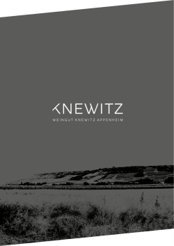 PDF - Weinliste - Weingut Knewitz