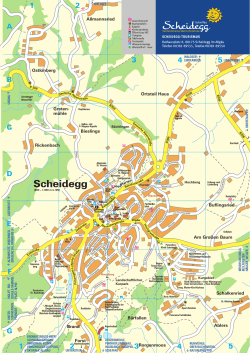 Ortsplan Scheidegg