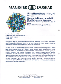 DOSKAR-Phyllanthus-niruri (Bhumyamalaki, Steinbrecher)