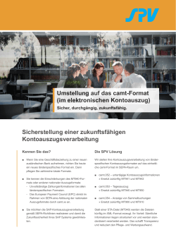 Umstellung auf das camt-Format - SPV Solutions, Products, Visions