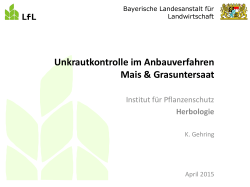Anbausystem Mais mit Untersaat