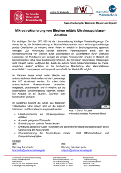 Mikrostrukturierung von Blechen mittels Ultrakurzpulslaser