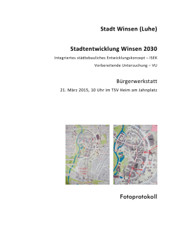 Stadt Winsen (Luhe) Stadtentwicklung Winsen 2030