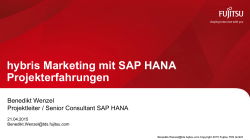 hybris Marketing mit SAP HANA Projekterfahrungen