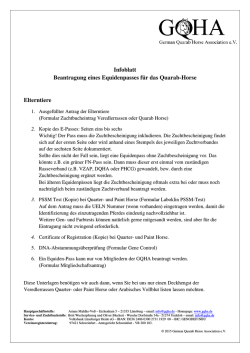Infoblatt Equidenpass