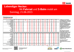 DB Bahnhofsaushang LN 2015 PDF