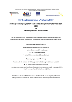 ESF-Bundesprogramm „ProJob im BLK“