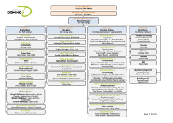 Organigramm - Stiftung Domino