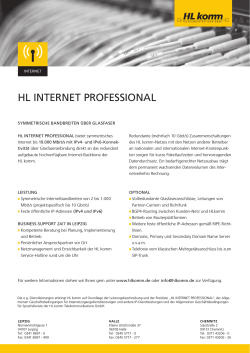 hl internet professional - HL komm Telekommunikations GmbH