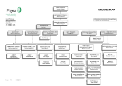 Das Organigramm von Pigna im Überblick (bitte hier klicken).