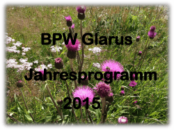 BPW Glarus Jahresprogramm 2015