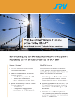 Was bietet SAP Simple Finance powered by HANA?