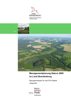 Entwurf Endbericht Stepenitz (Stand: März 2015)