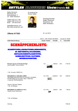schnäppchenliste - Sattler Electronic Showtronic AG