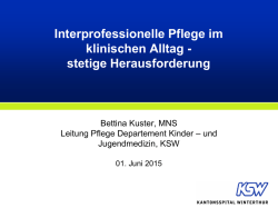 Interprofessionelle Pflege im klinischen Alltag &ndash; stetige