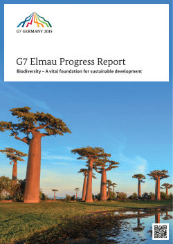G7 Elmau Progress Report - Bundesministerium für wirtschaftliche