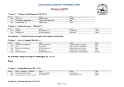 Zeiteinteilung Bremer Pferdefest 2015