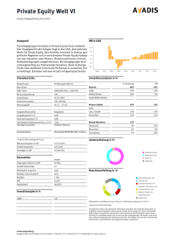 Private Equity Welt VI