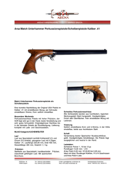 Unterhammerpistole AX-UNDERHAMMER