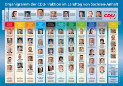 Organigramm der CDU-Fraktion im Landtag von Sachsen