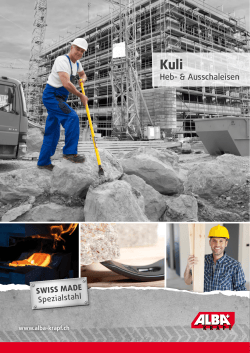 Heb- & Ausschaleisen