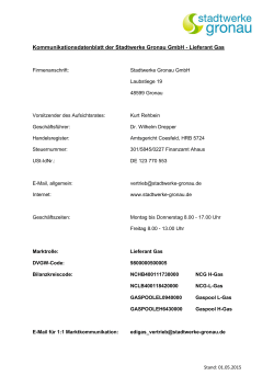 Informationsblatt elektronischer Datenaustausch f&uuml;r Gaslieferanten