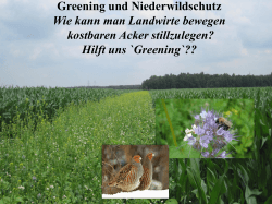 Greening-Maßnahmen zum Schutz der Niederwildes - Biotop